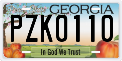 GA license plate PZK0110