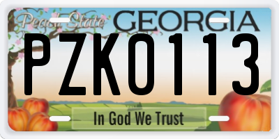 GA license plate PZK0113
