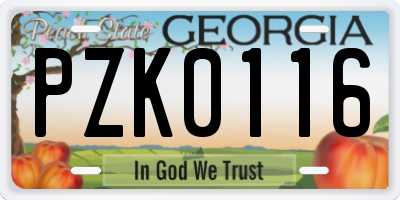 GA license plate PZK0116