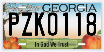 GA license plate PZK0118