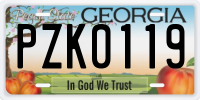GA license plate PZK0119