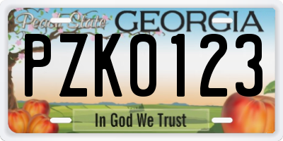 GA license plate PZK0123