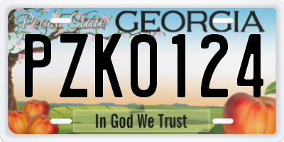 GA license plate PZK0124