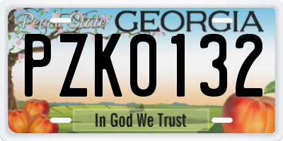 GA license plate PZK0132