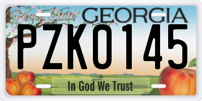 GA license plate PZK0145