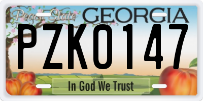 GA license plate PZK0147