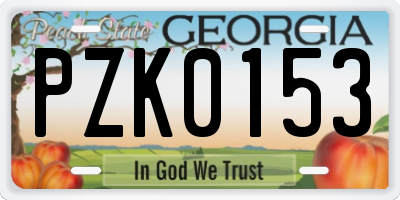 GA license plate PZK0153