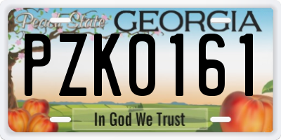 GA license plate PZK0161