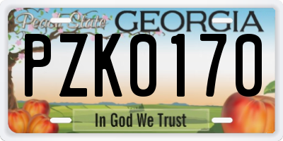 GA license plate PZK0170