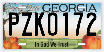 GA license plate PZK0172