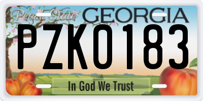 GA license plate PZK0183