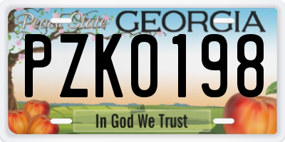GA license plate PZK0198