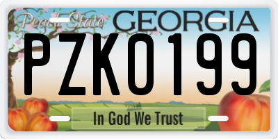 GA license plate PZK0199