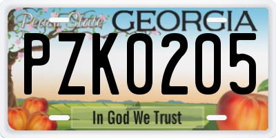 GA license plate PZK0205