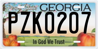 GA license plate PZK0207