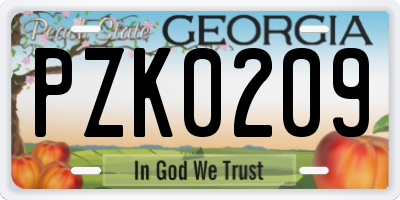 GA license plate PZK0209