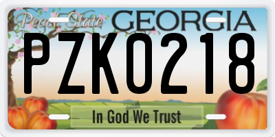 GA license plate PZK0218