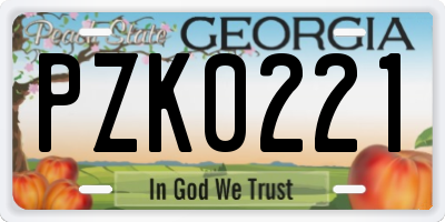 GA license plate PZK0221
