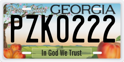 GA license plate PZK0222