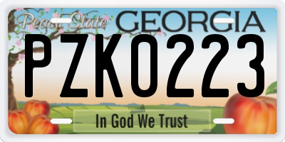 GA license plate PZK0223