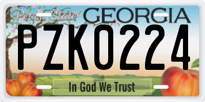 GA license plate PZK0224