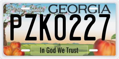 GA license plate PZK0227