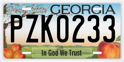 GA license plate PZK0233