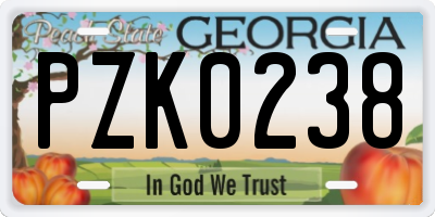 GA license plate PZK0238