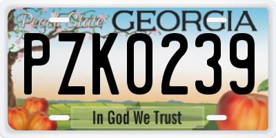 GA license plate PZK0239