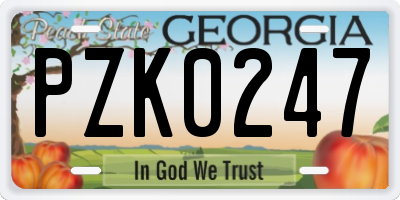 GA license plate PZK0247