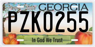 GA license plate PZK0255