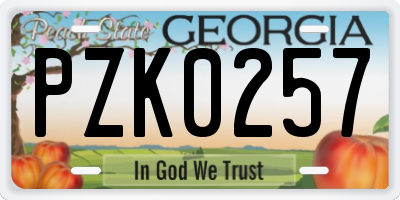 GA license plate PZK0257