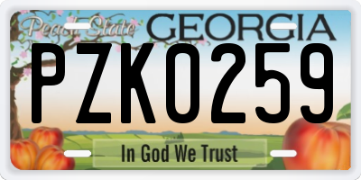 GA license plate PZK0259