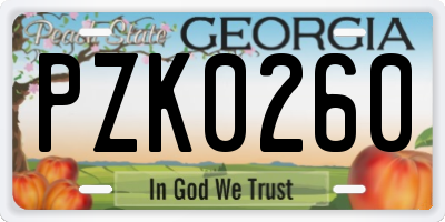 GA license plate PZK0260
