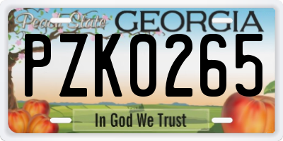 GA license plate PZK0265