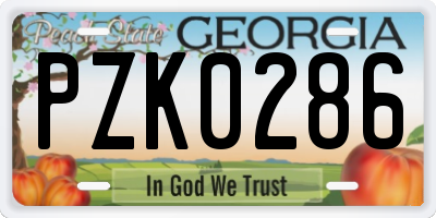 GA license plate PZK0286