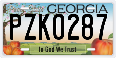 GA license plate PZK0287