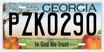 GA license plate PZK0290