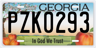 GA license plate PZK0293
