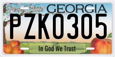 GA license plate PZK0305