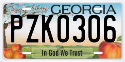 GA license plate PZK0306