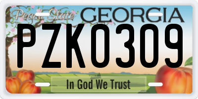 GA license plate PZK0309