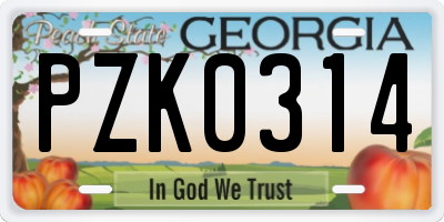 GA license plate PZK0314