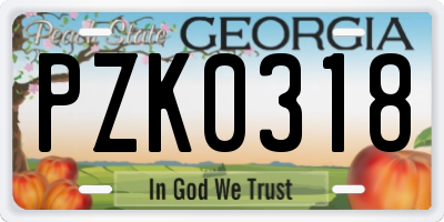 GA license plate PZK0318