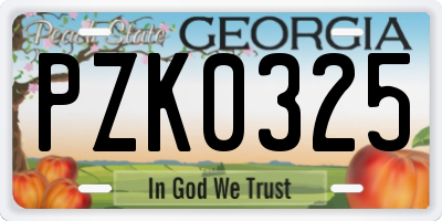 GA license plate PZK0325