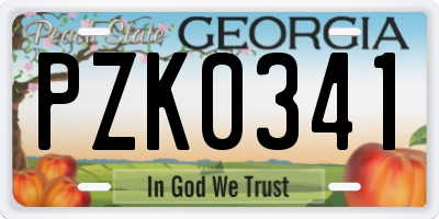 GA license plate PZK0341