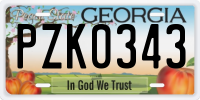 GA license plate PZK0343