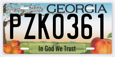 GA license plate PZK0361