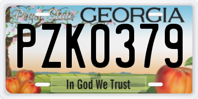 GA license plate PZK0379