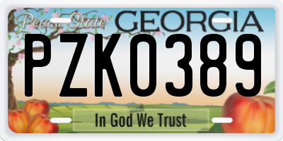 GA license plate PZK0389